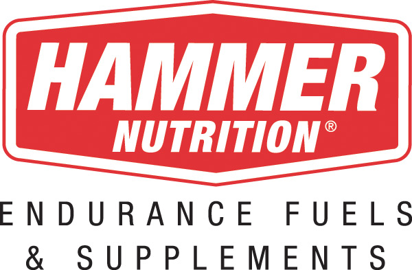 Hammer Logo